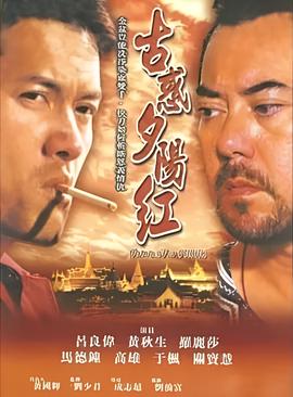 真爱的谎言之破冰者电视剧免费